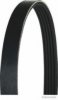 MAGNETI MARELLI 600000001520 V-Ribbed Belts